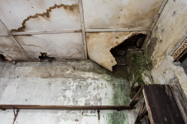 Water Damage Service in Rockledge