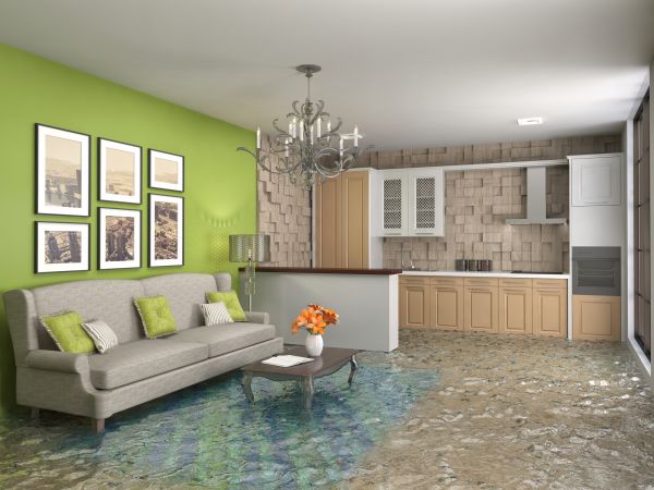 Wet Carpet Drying in Rockledge