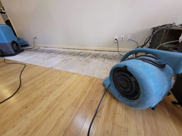 Cost of Water Damage Mitigation in Rockledge