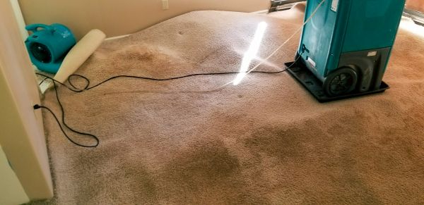 Flood Damage Cleanup in Rockledge