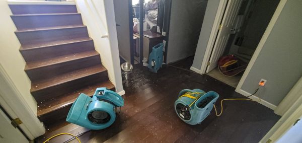 Water Damage Remediation in Rockledge