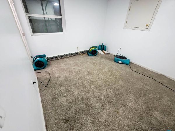 Flood Restoration Service in Rockledge