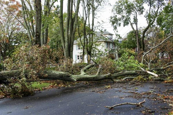 Tornado Damage Repair in Rockledge