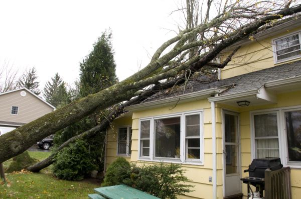 Hurricane Damage Repair in Rockledge