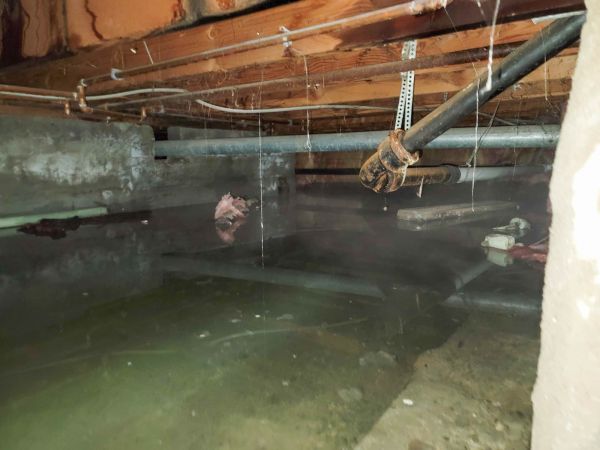 Crawlspace Water Restoration in Rockledge