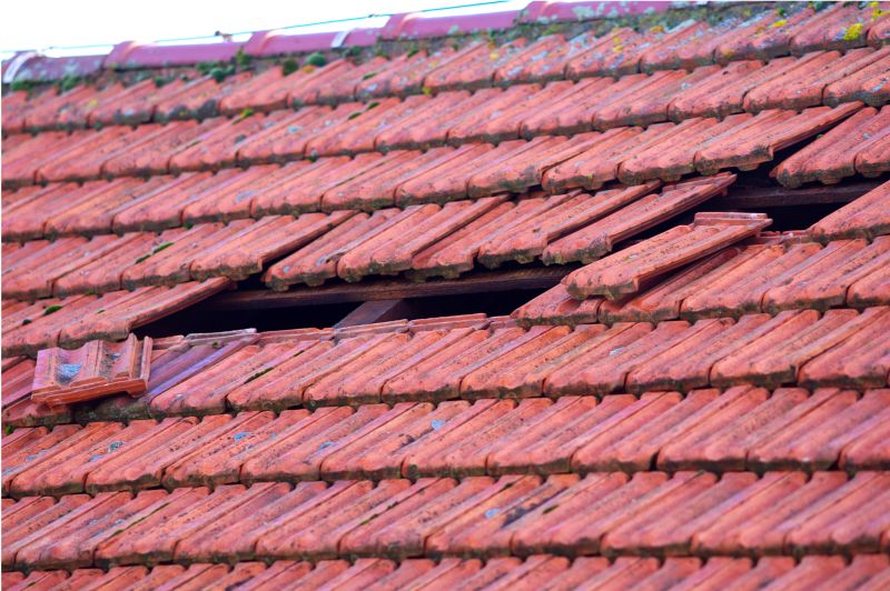 Roof Repairs and Replacements